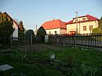 Třibřichy